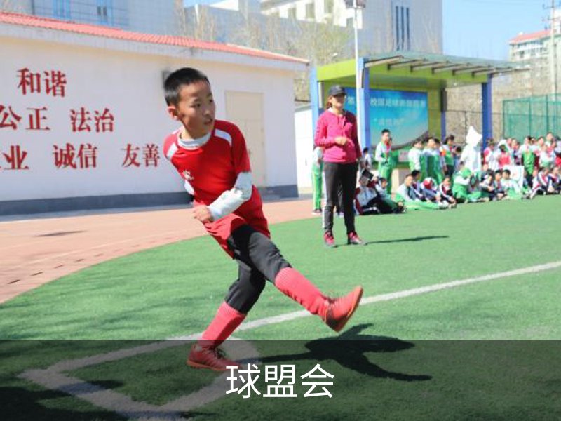 关于球盟会